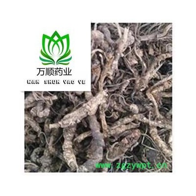 精品西藏胡黄连选货 质量好  价格低 规格齐全  产地 西藏自治区