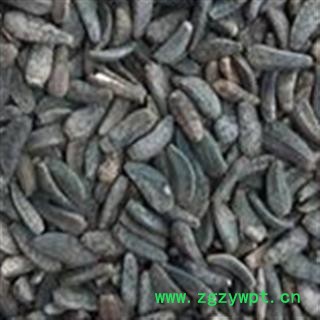 牛蒡子 产地直销川牛蒡子净货颗粒大水洗干净 产地 甘肃省图2