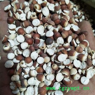 芡实 芡实对瓣0.8对瓣开无硫磺颜色好 产地 广东省图4