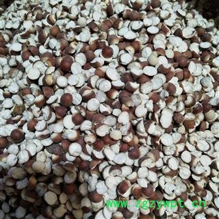 芡实 芡实对瓣0.8对瓣开无硫磺颜色好 产地 广东省图2