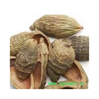 大腹皮 大腹毛统货 产地 海南省