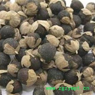 蔓荆子 江西蔓荆子大粒统货 产地 云南省图2