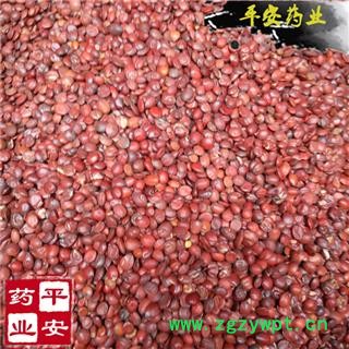 国产枣仁 新货 质地饱满 纯干图2