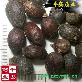 平安药业 蒲葵子 葵树子 优质 促销图2