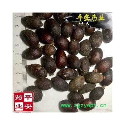 平安药业 蒲葵子 葵树子 优质 促销