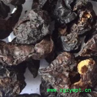 小丽百草行 诃子肉 柯子肉诃子肉 （非新疆金柯子 毛诃子难看但药效好）毛柯子 开税票图2