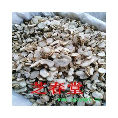 中药材 浙贝 无硫新货 浙贝母 代磨粉 规格齐全 常年大货