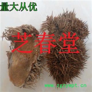 板栗壳 正品中药材板栗皮栗毛壳 栗子皮风栗壳支持验货图3
