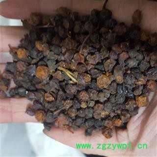 小丽百草行五味子西五味南五味子实物拍摄图2