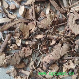 小丽百草行茅梅根 红梅消 三月泡根 小叶 蛇泡筋 拦路蛇 刺菠根图2