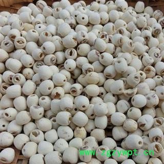 小丽百草行莲子 莲子肉 红莲米白莲米 抽芯 红莲米 产地 湖南图2