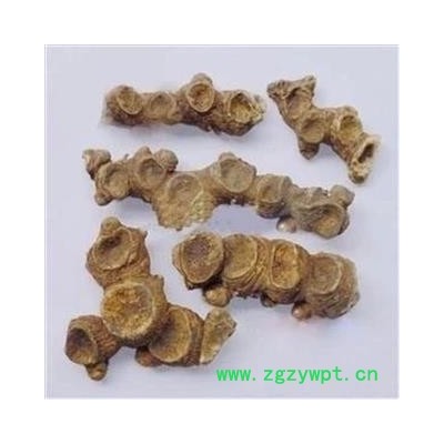 八角连 金魁莲 旱八角 叶下花 一把伞 马眼莲 独叶一枝花 八角盘 六角莲 独脚莲 独角莲 八角金盘 山荷叶 产地 湖北省