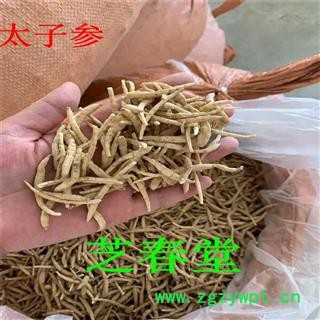 批发中药材太子参 孩儿参 新货无硫 承接订单 支持药检 产地货源图2