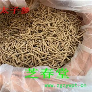 批发中药材太子参 孩儿参 新货无硫 承接订单 支持药检 产地货源图3