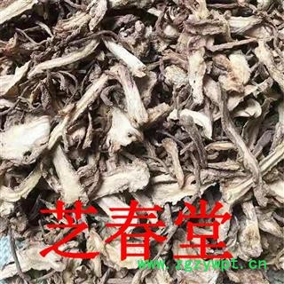 芝春堂 甘肃当归片 中药材批发 品质保障  优质无硫当归 一件代发图3