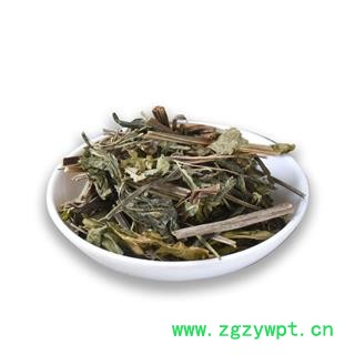 冷背中药材三七叶 散装批发田七干叶子 新货特级干净无杂量大从优图4