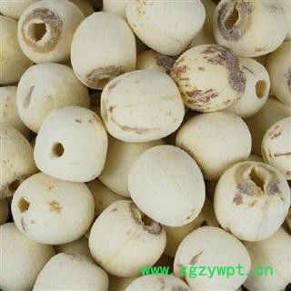 白莲子 茗生春药材总公司 一手货源  7天无理由退换图3