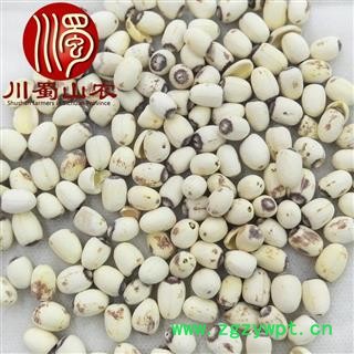 白莲米小粒未抽芯选货散装1公斤起批产地直供白莲子川蜀山农中药材批发图4