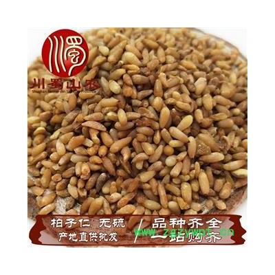柏子仁无硫选货散装1公斤起批批发产地直供川蜀山农中药材批发