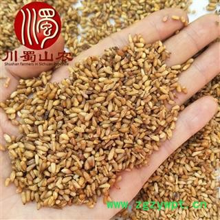 柏子仁无硫选货散装1公斤起批批发产地直供川蜀山农中药材批发图4