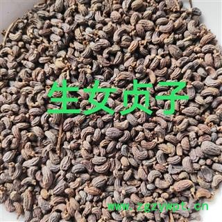 女贞子 女贞子腰果净货 产地 山东省图3