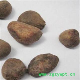 大风子 大风子统货 产地 广西壮族自治区图2