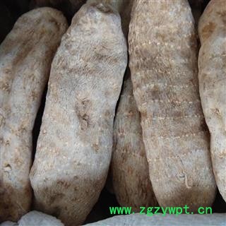 天麻 家种天麻特级20支 质量好 价格低  产地 贵州省图2