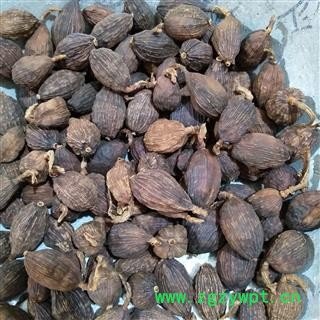 草果 草果统货 产地 广西壮族自治区图4