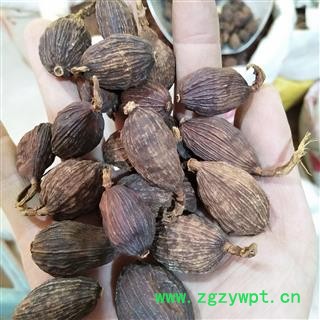 草果 草果统货 产地 广西壮族自治区图3