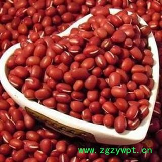 赤小豆 赤豆（红小豆）统货 产地 黑龙江省图2
