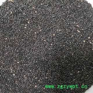 青葙子 青葙子好统货 产地 河南省图4