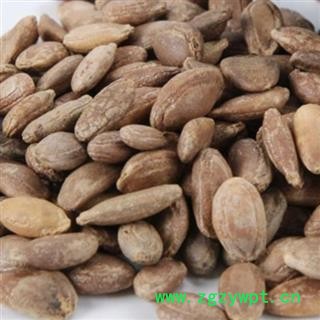小丽百草行瓜蒌子新货 颜色好无硫 子仁饱满 纯干 无虫蛀 大药典标准可供饮片厂 药厂图2