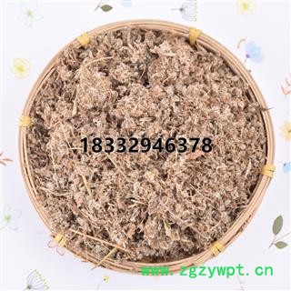 小丽百草行鹤虱 北鹤虱 无污染图2