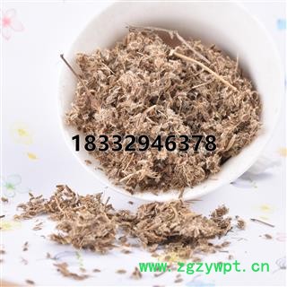 小丽百草行鹤虱 北鹤虱 无污染图3