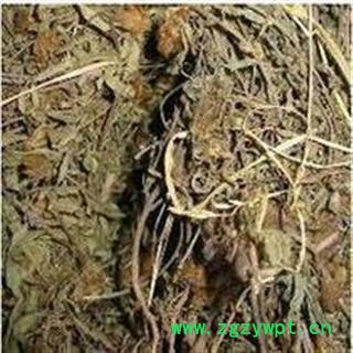 小丽百草行 农吉利 佛指甲 狗铃草 狸豆 农蒺藜图2