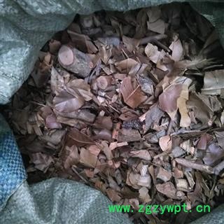 芝春堂 中药材 横经席 跌打将军 碎骨莲 皮子黄 梳篦木 独角风图4