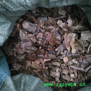 芝春堂 中药材 横经席 跌打将军 碎骨莲 皮子黄 梳篦木 独角风图3