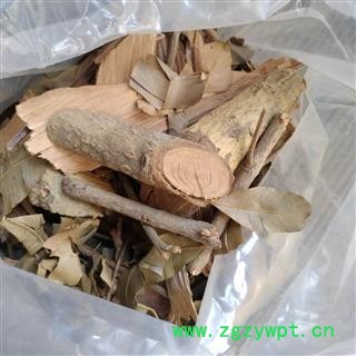 芝春堂 中药材 横经席 跌打将军 碎骨莲 皮子黄 梳篦木 独角风图2