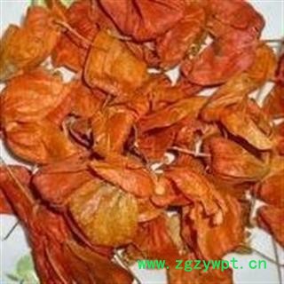 小丽百草行锦灯笼 红姑娘产地吉林图2