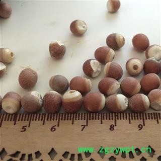 芡实 芡实1.0 产地 广东省 茗生春药材总公司 一手货源 7天无理由退换图3