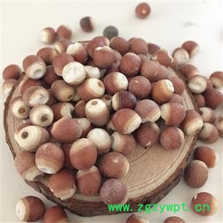 芡实 芡实1.0 产地 广东省 茗生春药材总公司 一手货源 7天无理由退换图2