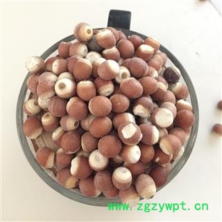 芡实 芡实1.0 产地 广东省 茗生春药材总公司 一手货源 7天无理由退换图4