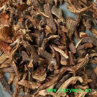 精品去毛骨碎补选货 新货纯干质量好 价格低 规格齐全   产地 广西壮族自治区图2