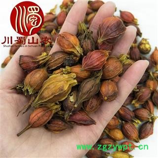 栀子个子无硫统货散装1公斤起批产地直供山栀子川蜀山农中药材批发图2