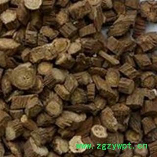 牛蒡子 牛蒡子 选,黄金牛蒡根, 批发各种规格名贵药材 中草药 花茶 产地 山东省图2