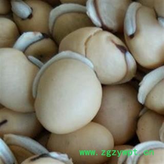 白扁豆 广西进口白扁豆统货 产地 云南省图2