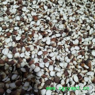 芡实 芡实对瓣0.7 产地 广东省图2