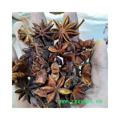 八角茴香 产地直销新货大茴香八角茴香统货发货前过筛籽少干净，实物拍摄 产地 广西壮族自治区