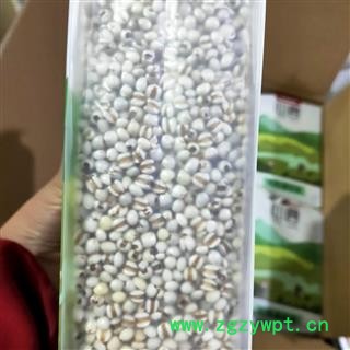 薏苡仁 国产薏苡仁98米一级选货一袋一公斤真空包装 产地 贵州省图3