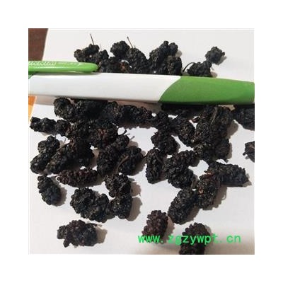 桑椹 桑椹净货 产地 四川省